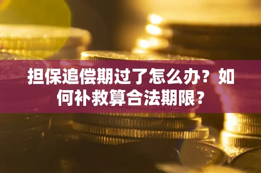 济南担保追偿期过了怎么办？如何补救算合法期限？