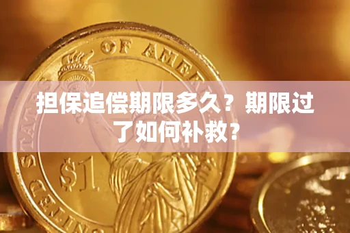 济南担保追偿期限多久？期限过了如何补救？
